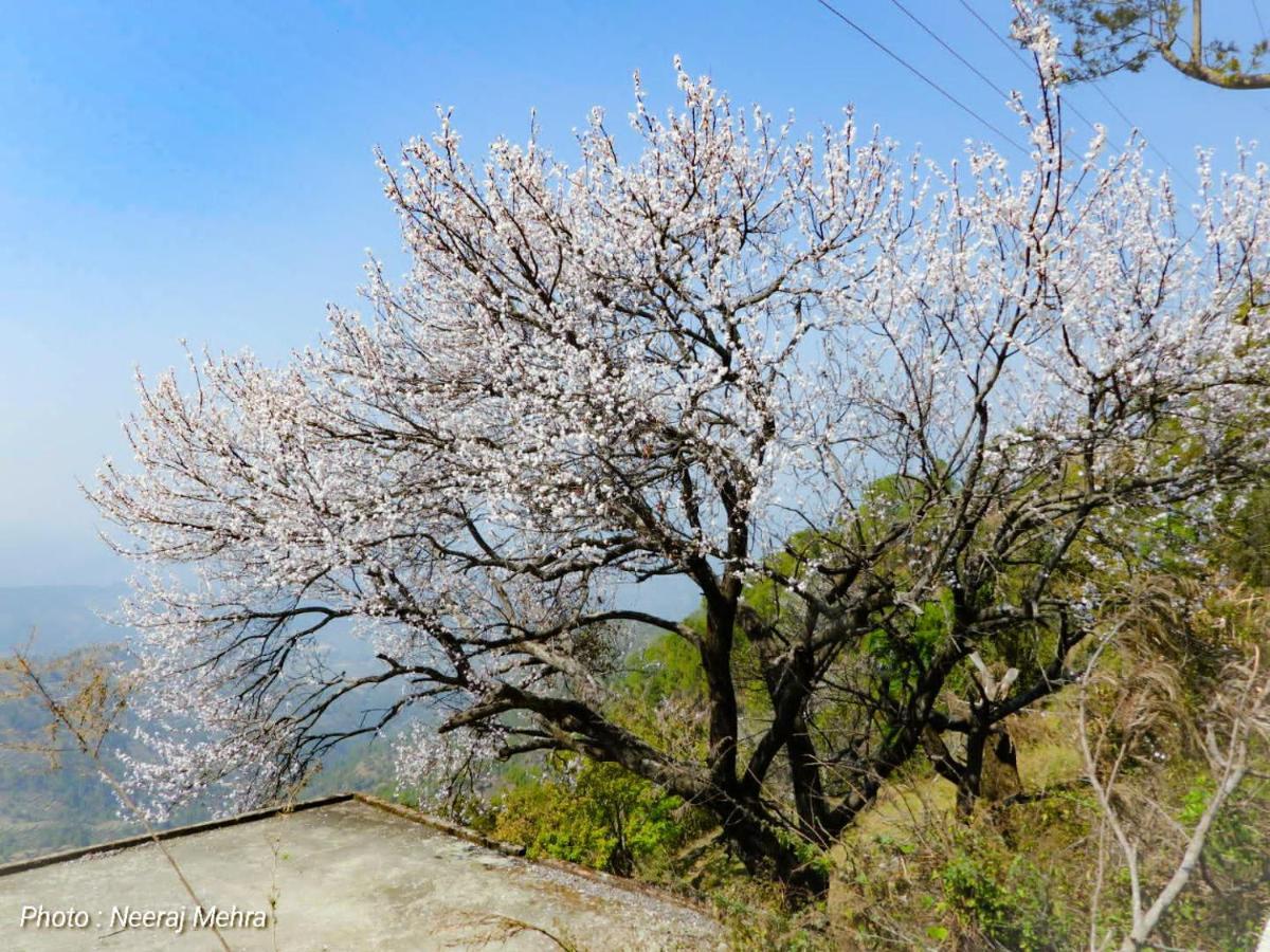 Entire 2 Bhk Nanda Devi Himalayan Homestay Ranikhet Exterior photo